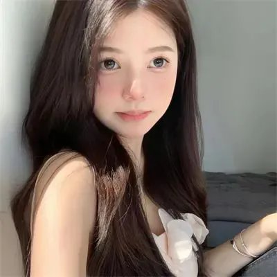 真假维梅尔